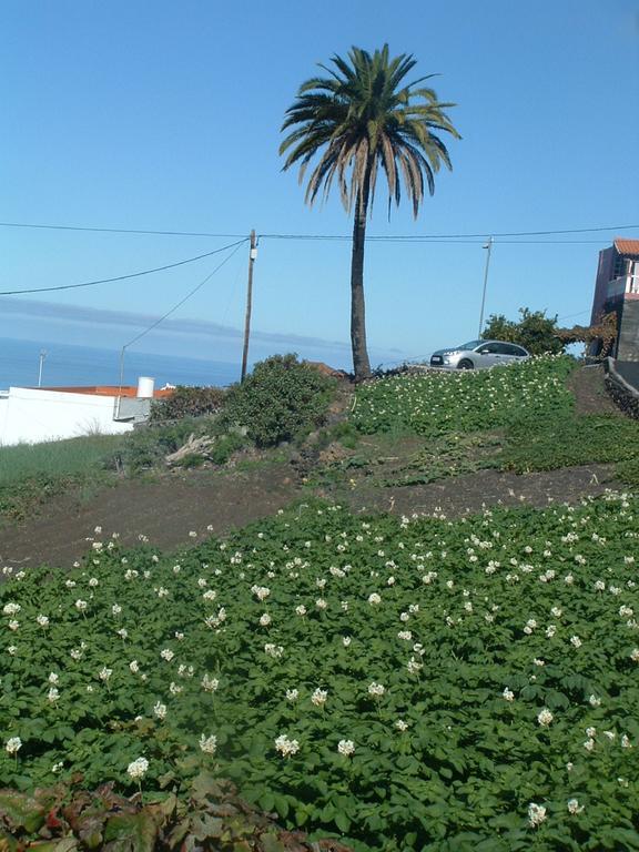 Casa Los Vinedos A Fuencaliente de la Palma Buitenkant foto